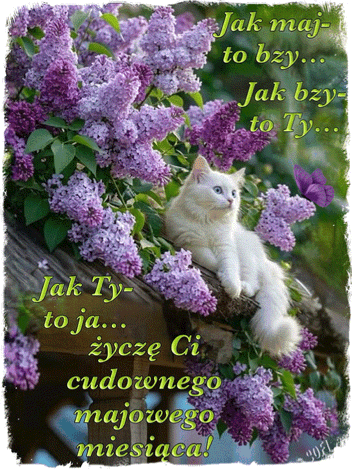 Kartka  💚MAJOWE POZDROWIENIA💜