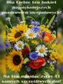  ❣Bukiet sierpniowych pozdrowie� dla Ciebie