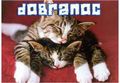 Dobranoc