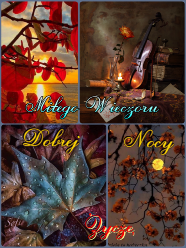 Kola� z napisem Mi�ego Wieczoru Dobrej Nocy �ycz�, czerwone li�cie, skrzypce, �wieca i ksi�yc