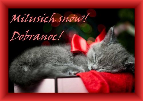 �pi�cy szary kotek z czerwon� kokard� i napisem Mi�ych sn�w Dobranoc w ramce
