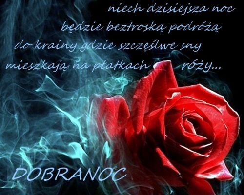 Czerwona r�a otoczona niebieskim dymem z napisem Dobranoc i �yczeniami na czarnym tle