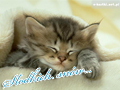 S�odkich sn�w...