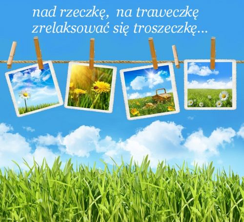 Zdj�cia z letnimi pejza�ami zawieszone na sznurku na tle zielonej trawy i niebieskiego nieba