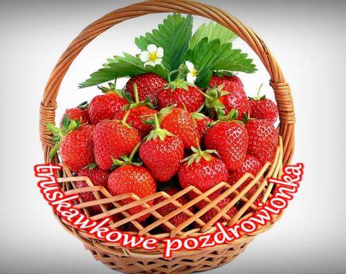 Wiklinowy koszyk wype�niony �wie�ymi truskawkami z li��mi i bia�ymi kwiatami, z napisem truskawkowe pozdrowienia