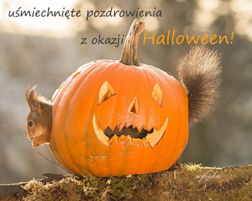 Kartka U�miechni�te pozdrowienia z okazji Halloween!