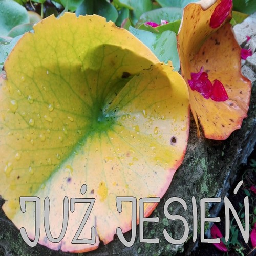 Kartka Ju� jesie�