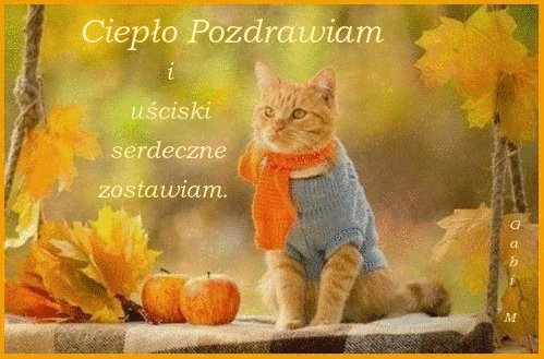 Rudy kot w sweterku i szaliku na hu�tawce w�r�d jesiennych li�ci z napisem