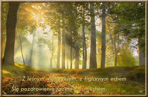 S�oneczny, jesienny las z pniami drzew, dywanem z li�ci i napisem z pozdrowieniami
