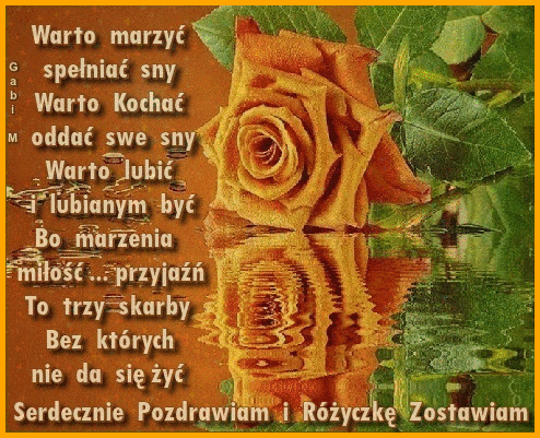 Pomara�czowa r�a odbijaj�ca si� w wodzie, zielone li�cie oraz tekst o marzeniach i mi�o�ci