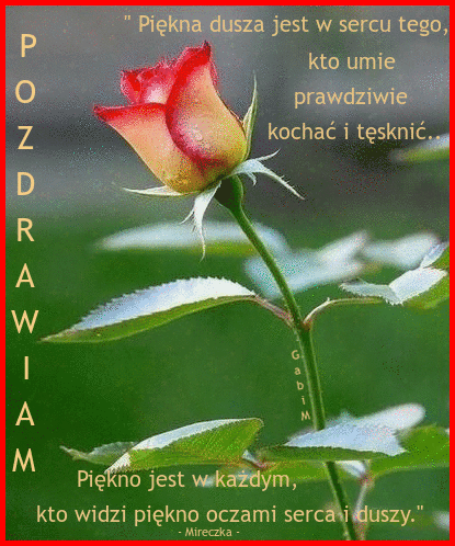 Czerwono-��ty p�k r�y na tle zieleni z napisem Pozdrawiam i cytatem o pi�knie duszy