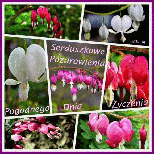 Kartka  💜 Serduszkowe Pozdrowienia 💜 