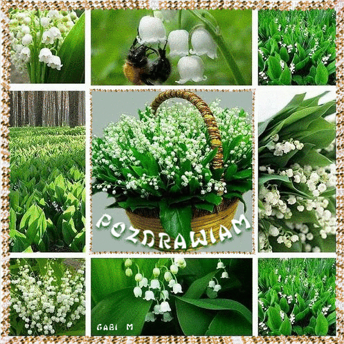 Kola� z konvaliami, wiklinowy kosz pe�en kwiat�w i pszczo�a oraz napis Pozdrawiam