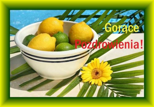 Bia�a miska z cytrynami i limonkami, li�cie palmy, ��ty kwiat oraz napisem Gor�ce Pozdrowienia
