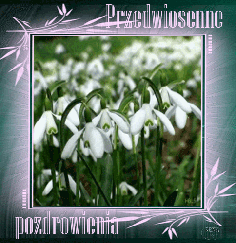 Kartka Przedwiosenne pozdrowienia