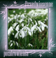 Przedwiosenne pozdrowienia