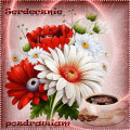 Serdecznie pozdrawiam