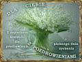  Dla Ciebie z zapachem konwalii �l� pozdrowienia .