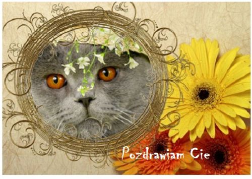 Kartka Pozdrawiam Ci�:)