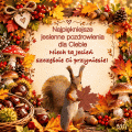    🍂Jesienne Pozdrowienia🍁