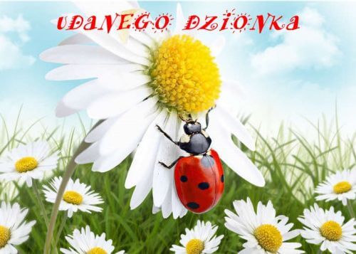 Kartka Pomy�lnego, mi�ego dnia!
