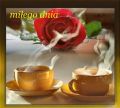 mi�ego dnia