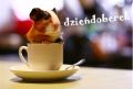 dzie� doberek