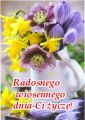Radosnego wiosennego dnia!