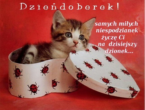 Kartka Dzie� doberek:)