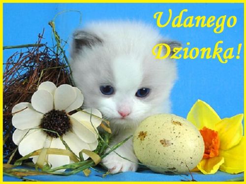 Kartka Dzie� Dobry! �ycz� Udanego Dzionka!