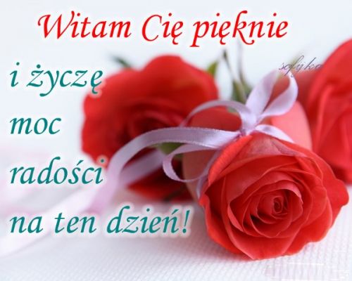 Czerwone r�e przewi�zane fioletow� wst��k� oraz napis Witam Ci� pi�knie i �ycz� moc rado�ci