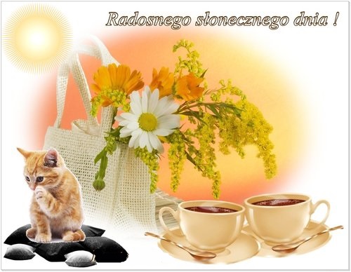 Rudy kot, fili�anki z kaw�, torba z kwiatami, s�o�ce i napisy Radosnego s�onecznego dnia
