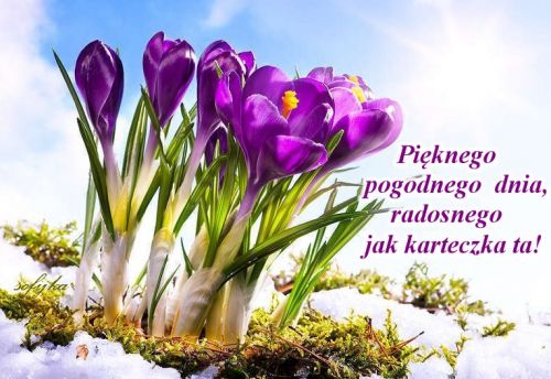 Obrazek dodany przez użytkowniczkę
