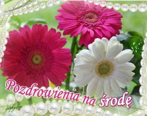 Kartka Niech ta �roda b�dzie dla Ciebie pi�kna!