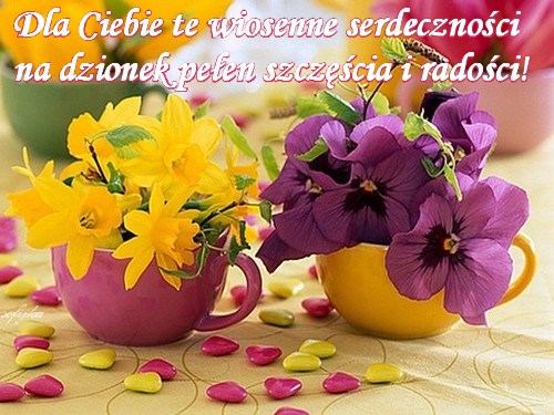 ��te �onkile i fioletowe bratki w fili�ankach oraz napis z �yczeniami na wiosennym tle