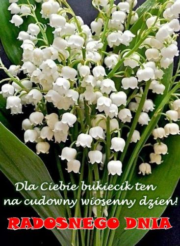 Kartka Radosnego Dnia!