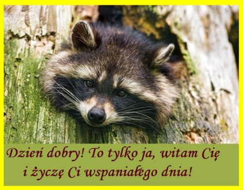 Kartka Witam! To ja, �ycz� Ci wspania�ego dnia!