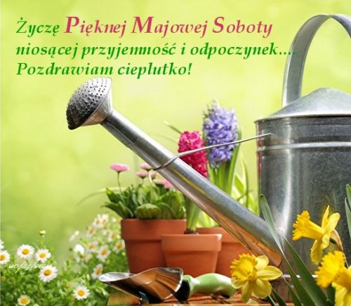 Obrazek dodany przez użytkowniczkę