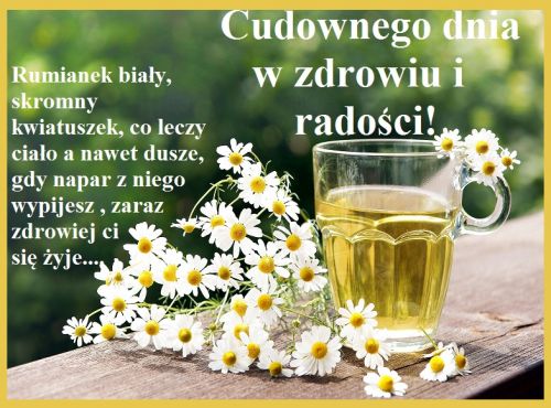 Kartka Cudownego Dnia w Zdrowiu i Rado�ci