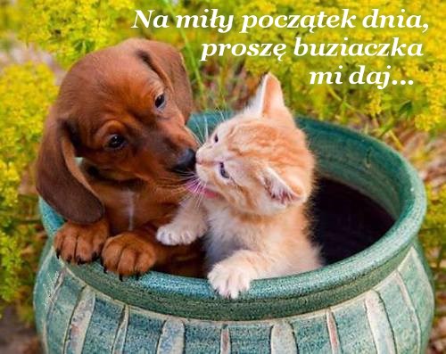 Kartka Na mi�y pocz�tek dnia...