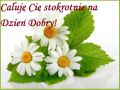 Ca�uj� Ci� stokrotnie na Dzie� Dobry!