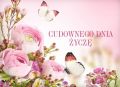 Cudownego dnia �ycz�!