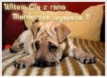 Witam Cię już z rana!