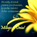 Mi�ego Dnia!