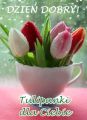 Troch� wiosny jesieni� dla Ciebie...