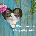 Witam serdecznie i �ycz� mi�ego dnia!