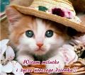 Witam milutko