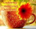 Cudownej s�onecznej niedzieli �ycz�...