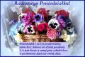 Radosnego Poniedzia�ku
