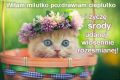 �rody udanej, wiosennie roze�mianej:)